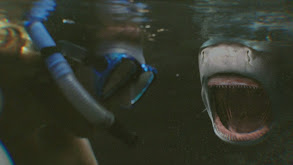 Blood in the Water thumbnail