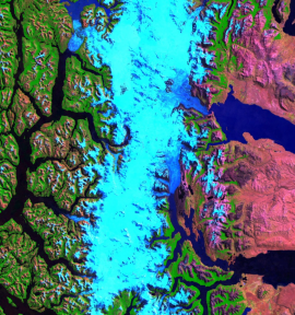 Neon-colored topographical heat map.