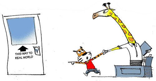 School is out. Life skills are in. And You're the Teacher.