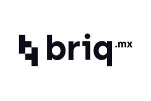 Briq Logo